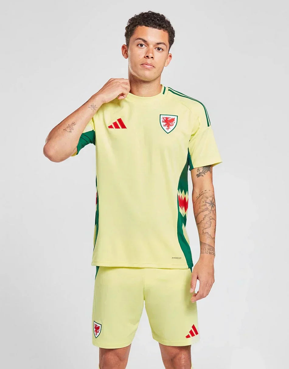 AWAY SHIRT WALES 2024