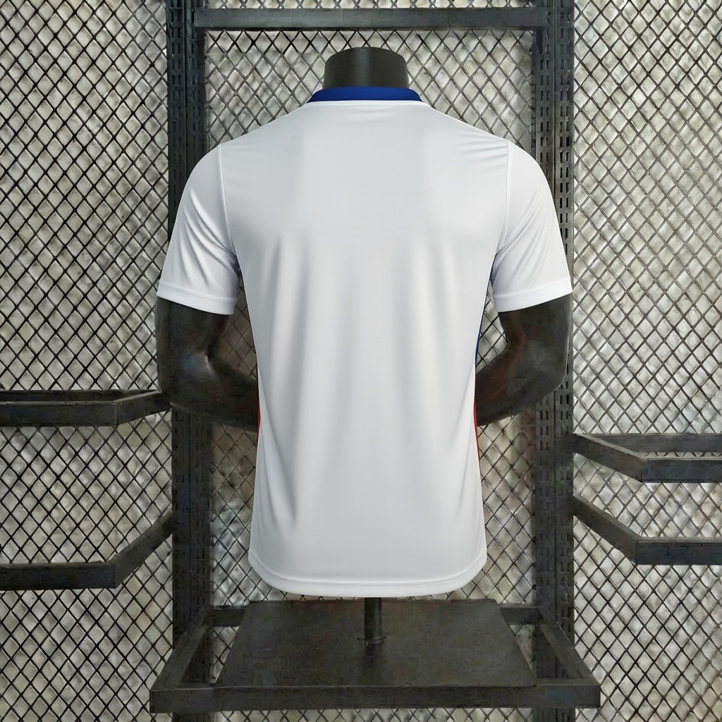 Retro Netherlands jersey 2012 Away